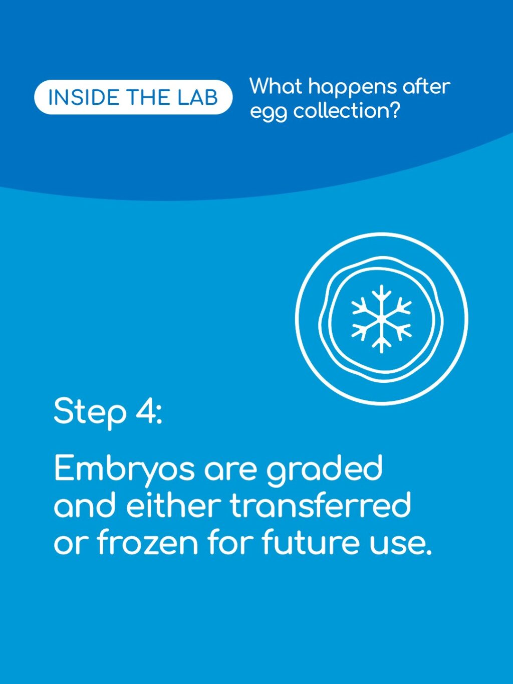 Ever wondered what happens to your eggs and embryos after collection? Swipe to see the journey inside our lab at King’s Fertility. 🔬💙

From careful preparation to monitoring development, every step is designed with precision and care to give your future family the best start.

Save this post and tag a friend who might need it before their egg collection!