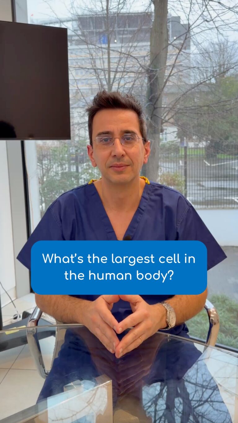 The size of human egg vs sperm. Dr Sarris explains 💙