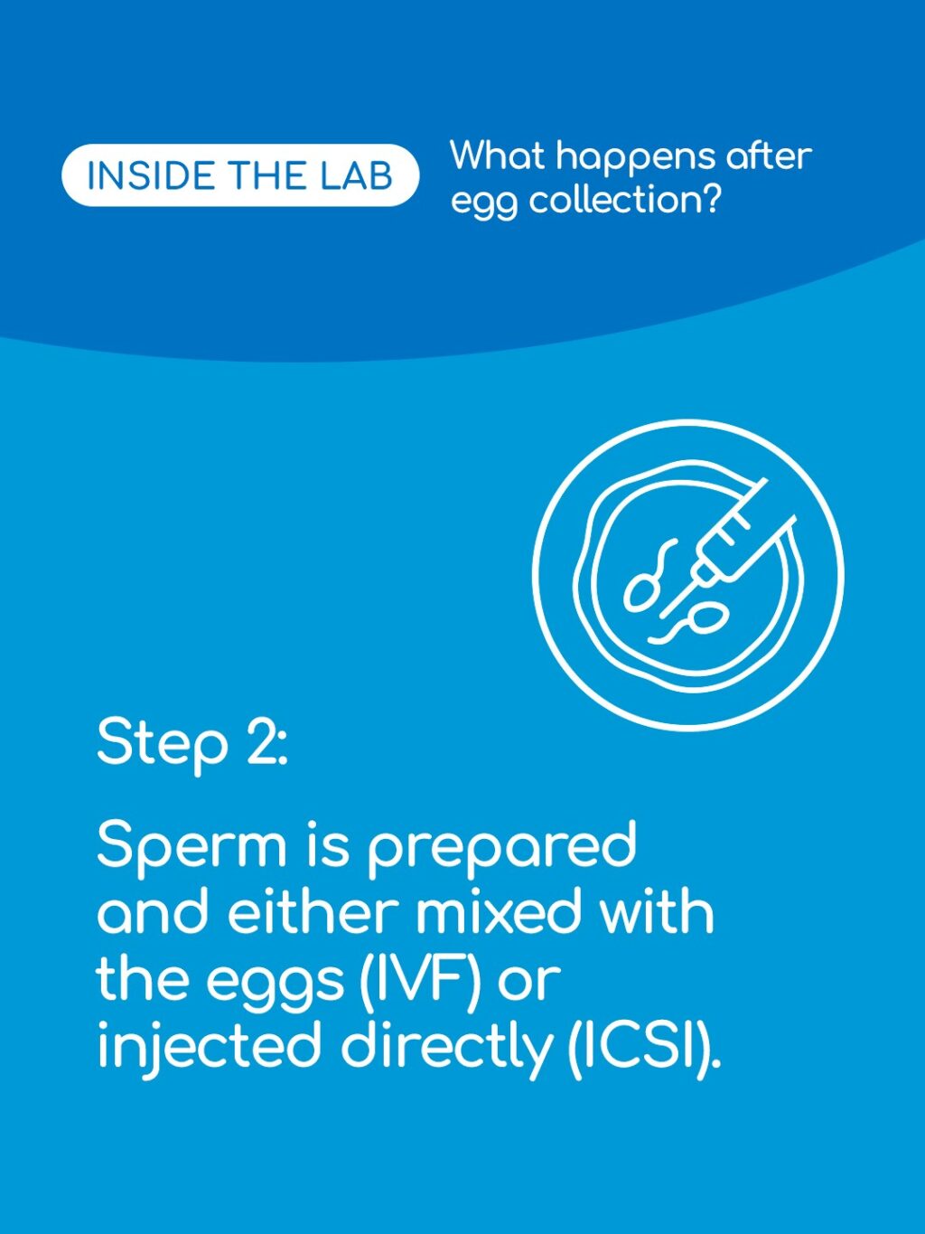 Ever wondered what happens to your eggs and embryos after collection? Swipe to see the journey inside our lab at King’s Fertility. 🔬💙

From careful preparation to monitoring development, every step is designed with precision and care to give your future family the best start.

Save this post and tag a friend who might need it before their egg collection!