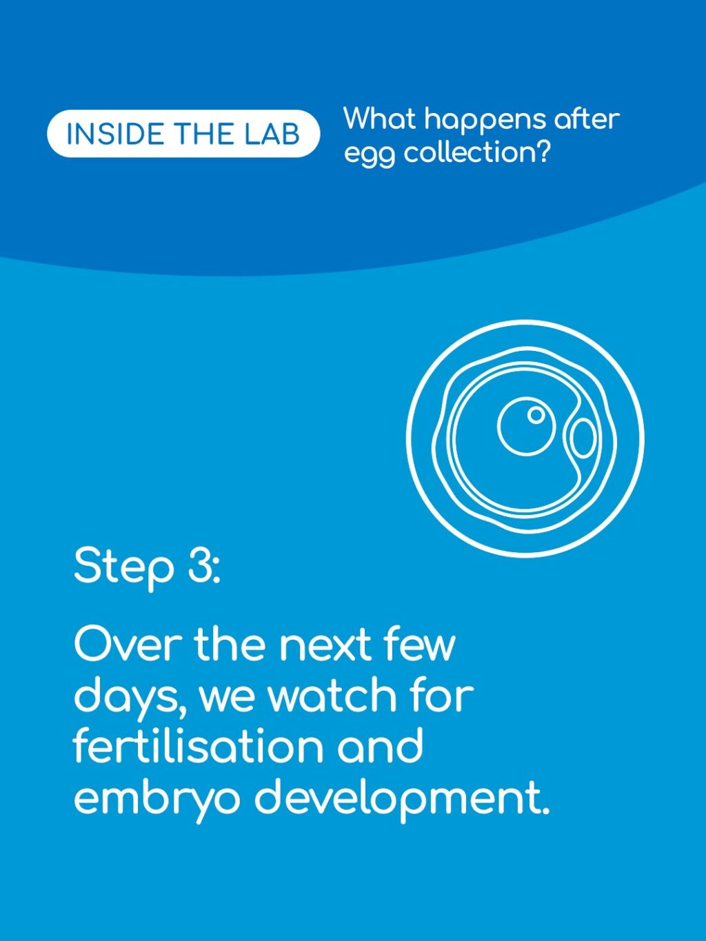 Ever wondered what happens to your eggs and embryos after collection? Swipe to see the journey inside our lab at King’s Fertility. 🔬💙

From careful preparation to monitoring development, every step is designed with precision and care to give your future family the best start.

Save this post and tag a friend who might need it before their egg collection!
