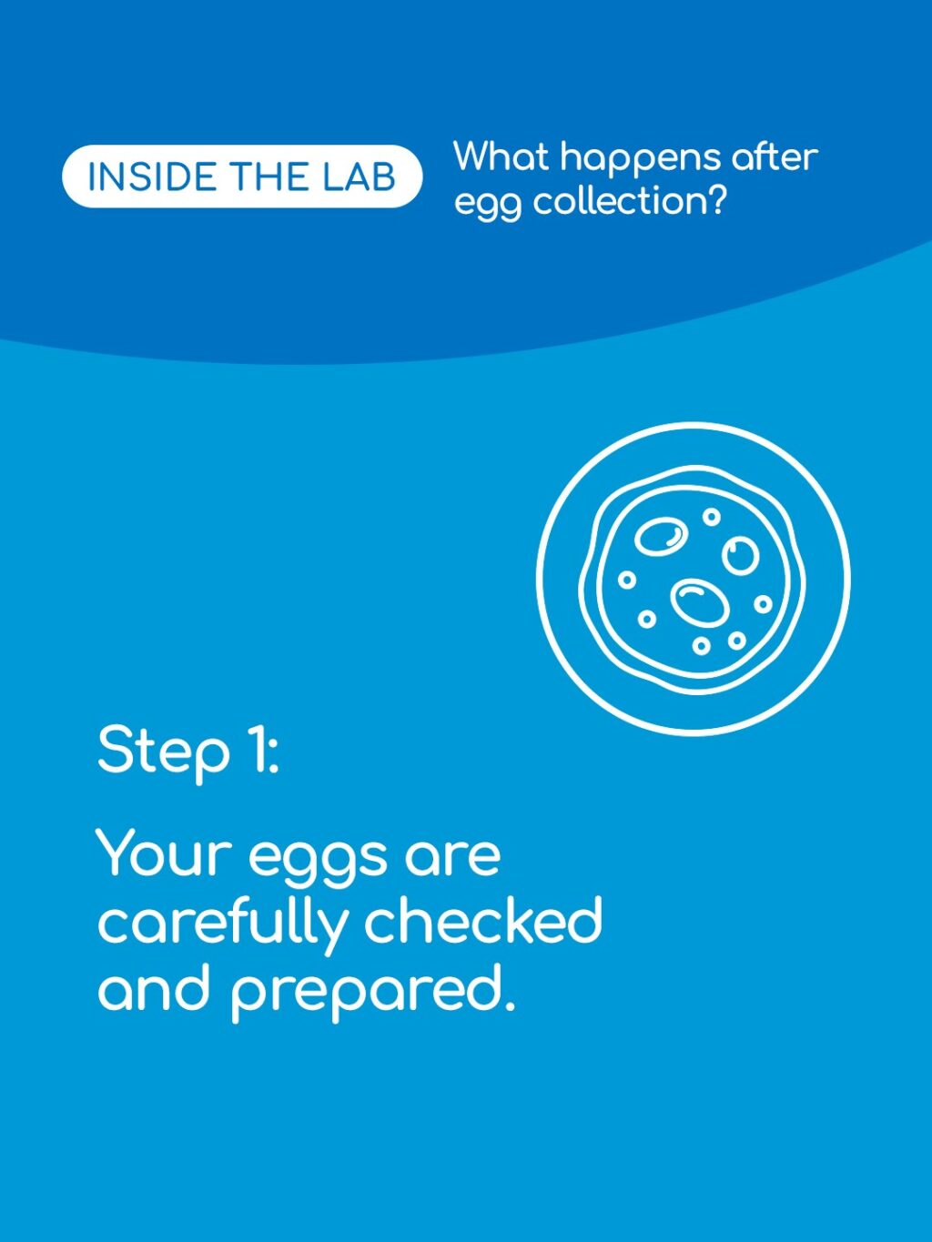 Ever wondered what happens to your eggs and embryos after collection? Swipe to see the journey inside our lab at King’s Fertility. 🔬💙

From careful preparation to monitoring development, every step is designed with precision and care to give your future family the best start.

Save this post and tag a friend who might need it before their egg collection!